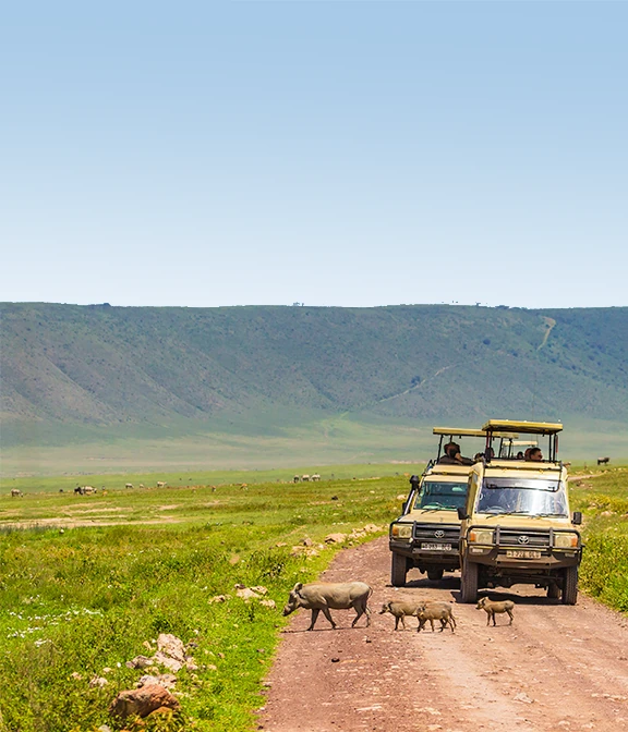 Safari Tour Tanzania Price